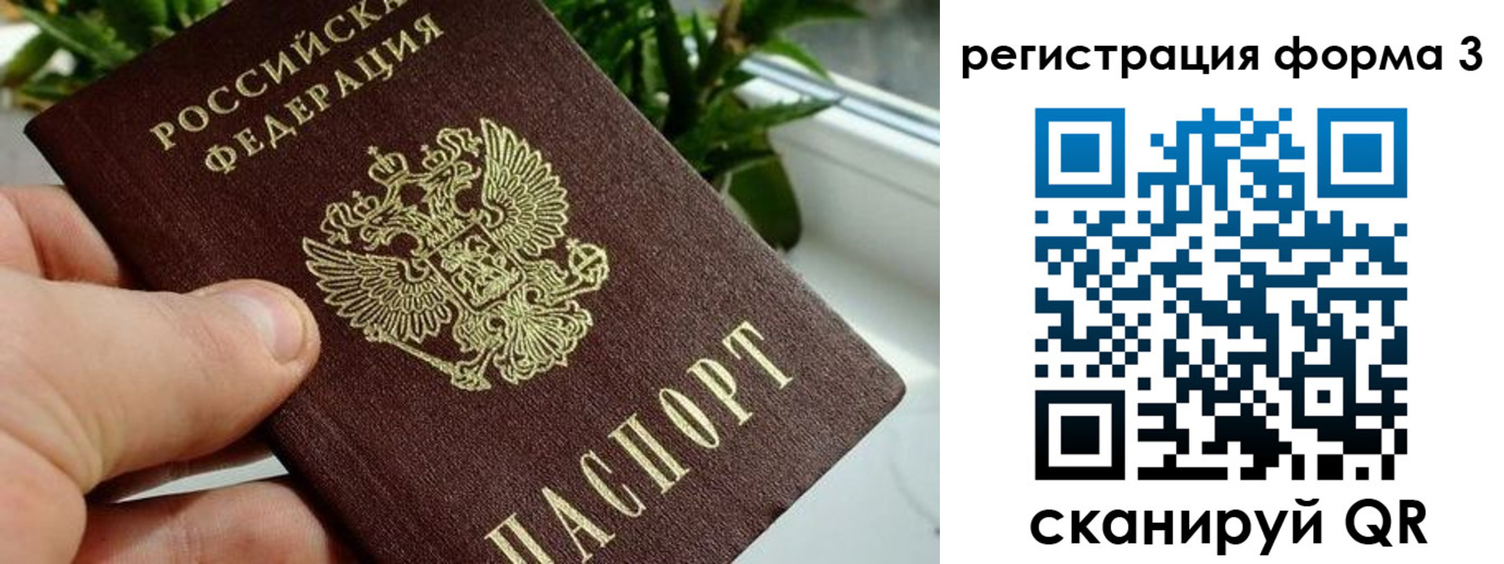 прописка штамп в Заволжье